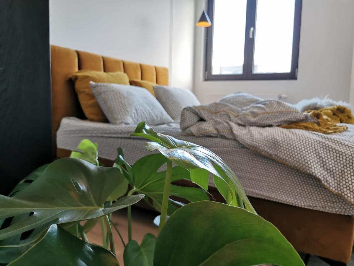 Appartement The Penthouse, Oasis Of Light And Inspiration à Anvers Extérieur photo